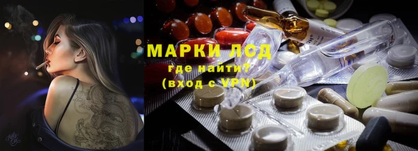 хмурый Алексин