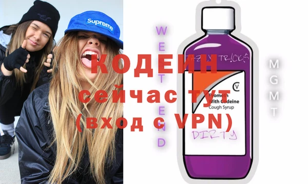 хмурый Алексин