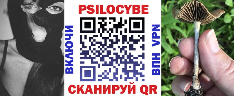 где продают наркотики  Полевской  мега ONION  Псилоцибиновые грибы Psilocybine cubensis 